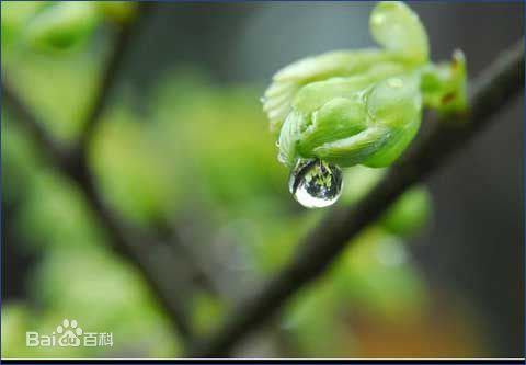 喜訊！2017新年開工第一份中標(biāo)通知書